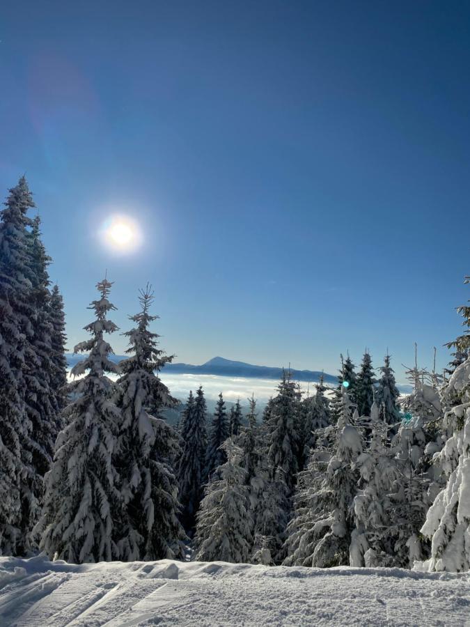 Chalet Panorama Mountain *